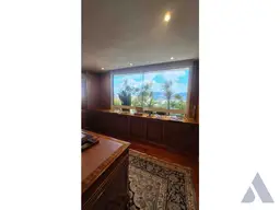 Vista 19