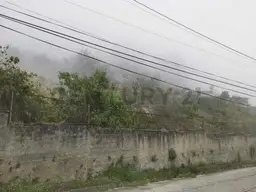 Vista 13