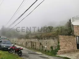 Vista 14
