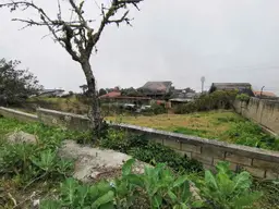 Vista 3