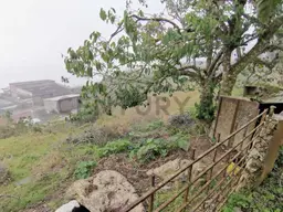 Vista 6