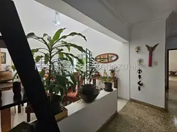 Vista 41