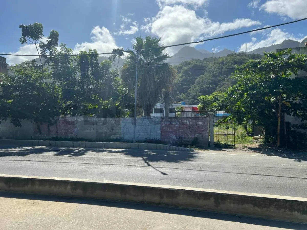 Se alquila terreno para uso comercial en Macuto - 3