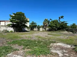 Vista 5