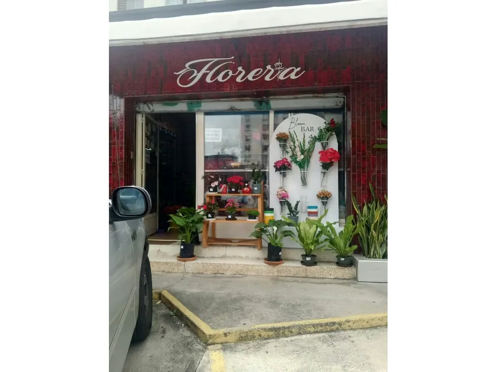 FONDO DE COMERCIO FLORISTERIA LOS PALOS GRANDES 60 M2 + 20 MEZZ - 2