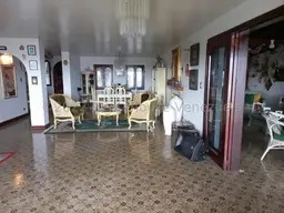 Vista 19
