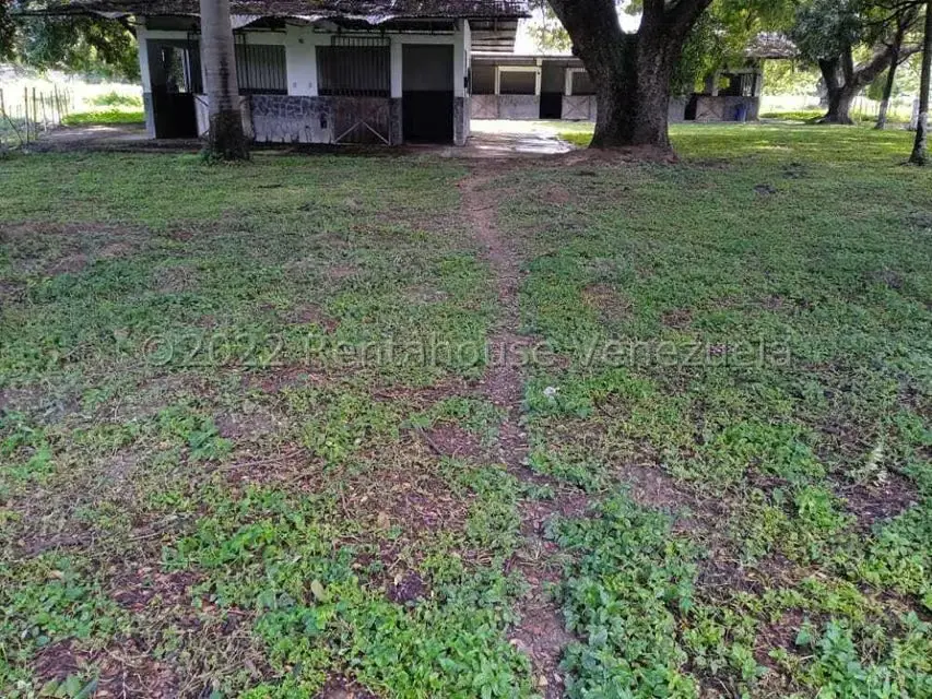 Terreno (Finca) en Venta en Corocito, Aragua - 4