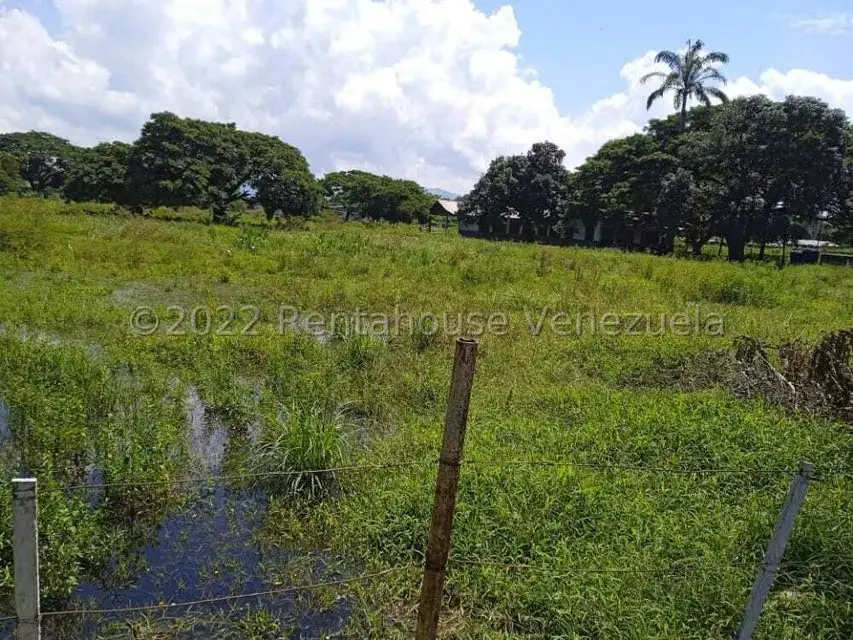Terreno (Finca) en Venta en Corocito, Aragua - 5