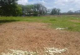 View 7
