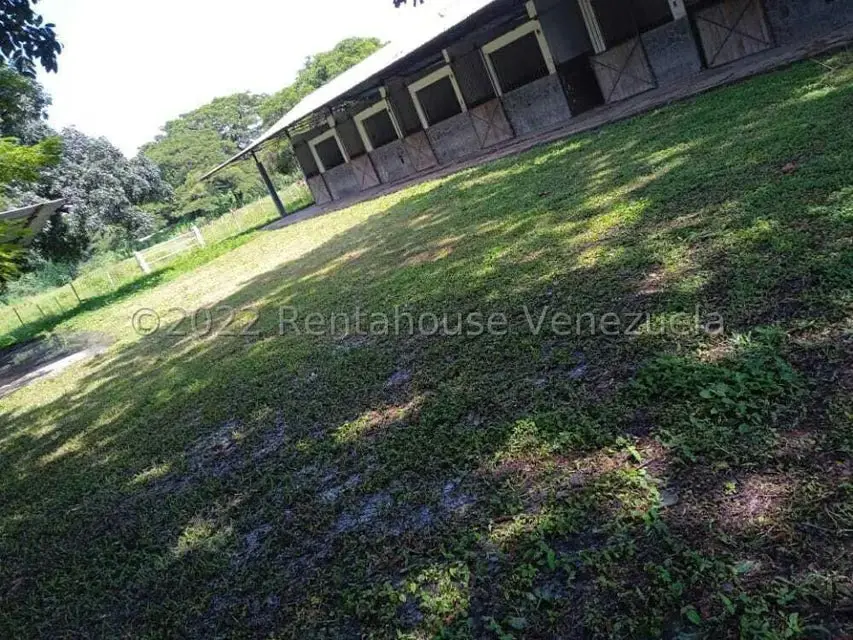 Terreno (Finca) en Venta en Corocito, Aragua - 8