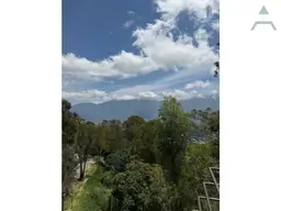 Vista 6