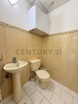 Vista 11