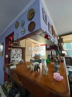 Vista 4