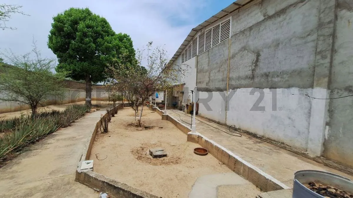 Complejo de Galpones en Cumaná Estado Sucre - 32