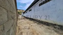 View 40