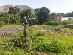 Vista 4