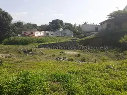 Vista 5