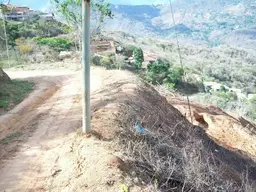 View 6