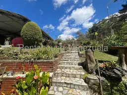Vista 12