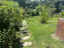 Vista 37