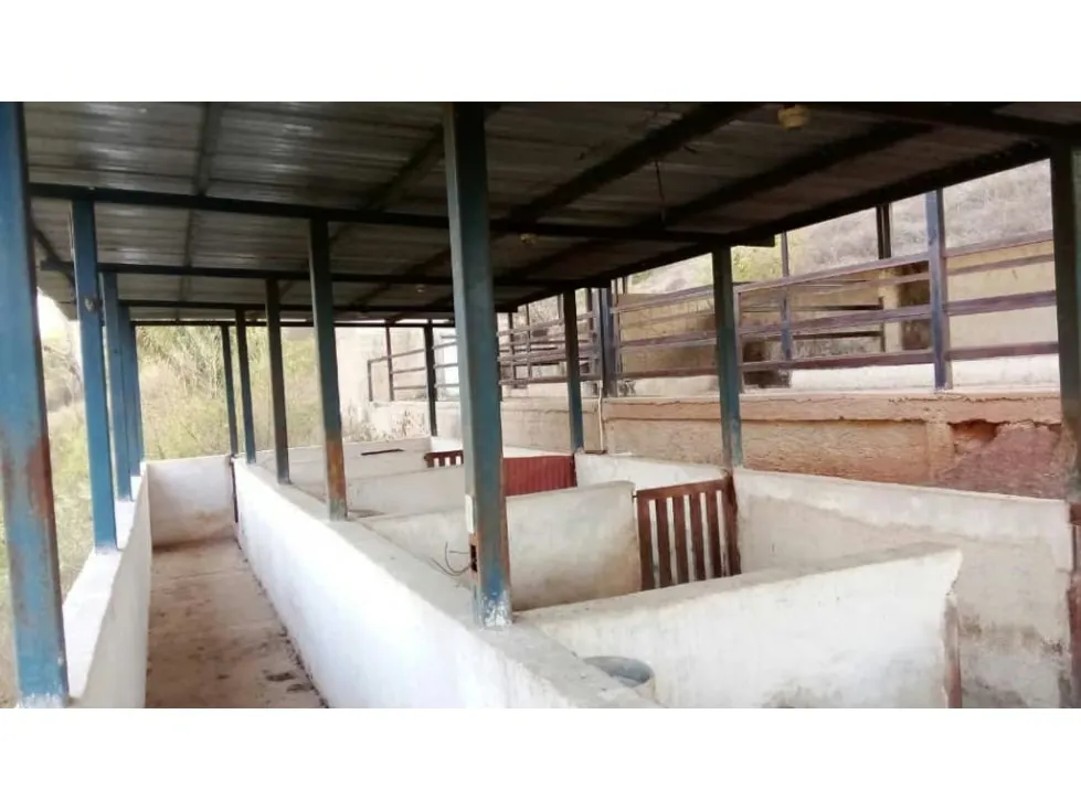 Vendo finca 15626m2 Carabobo - 11