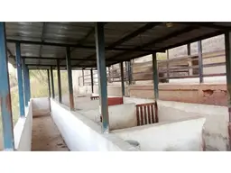 View 11
