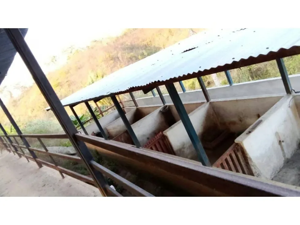 Vendo finca 15626m2 Carabobo - 12
