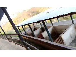 View 12