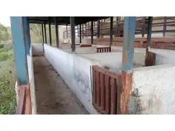 View 13
