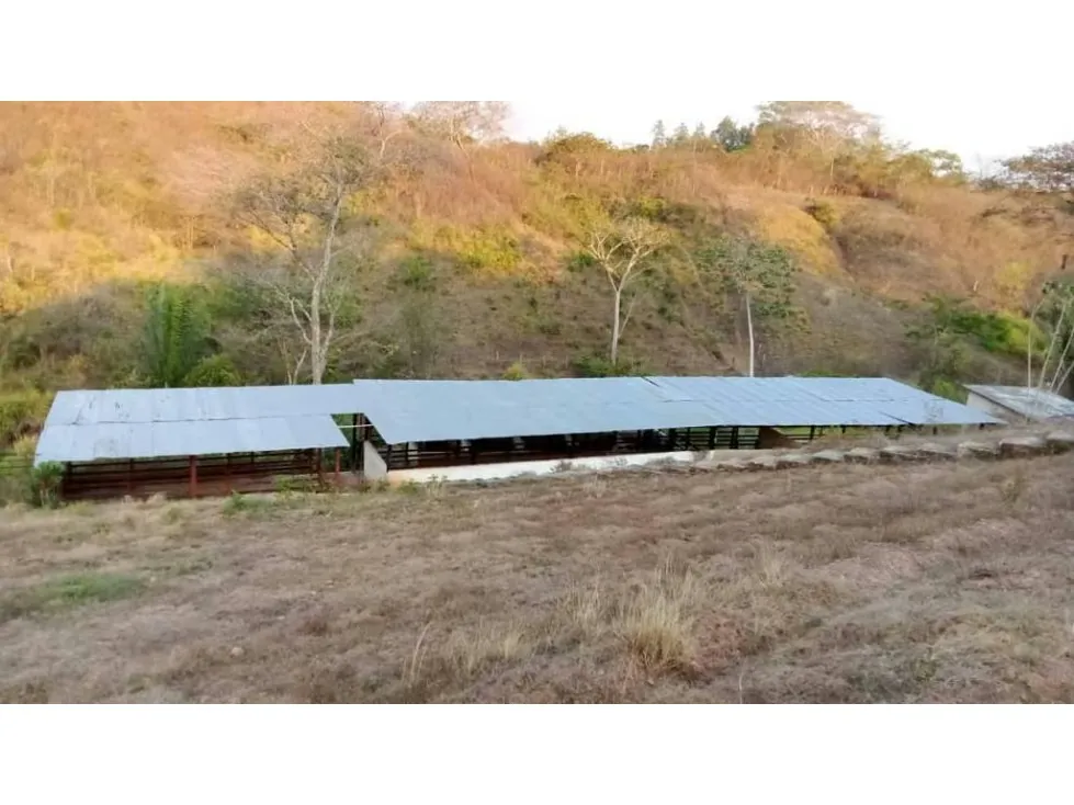 Vendo finca 15626m2 Carabobo - 14