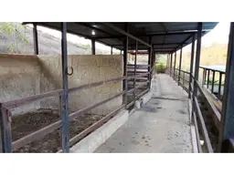 View 15
