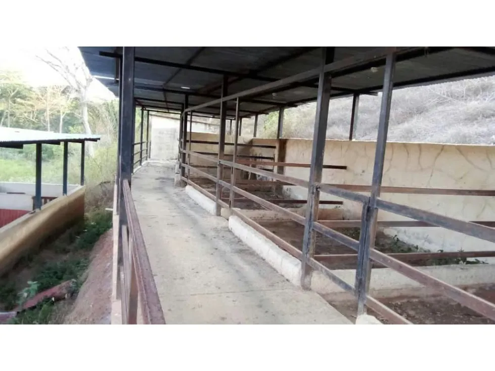 Vendo finca 15626m2 Carabobo - 17