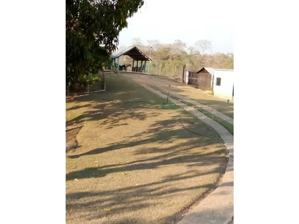 Vendo finca 15626m2 Carabobo - 4