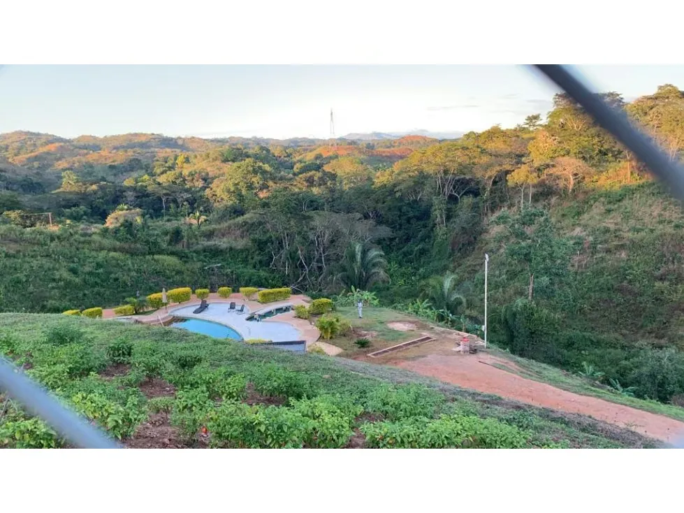 Vendo finca 15626m2 Carabobo - 7
