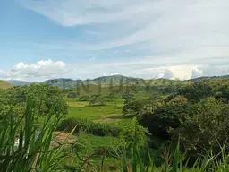 Vista 1