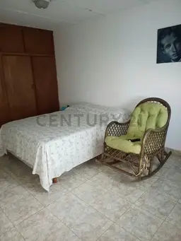 Vista 13