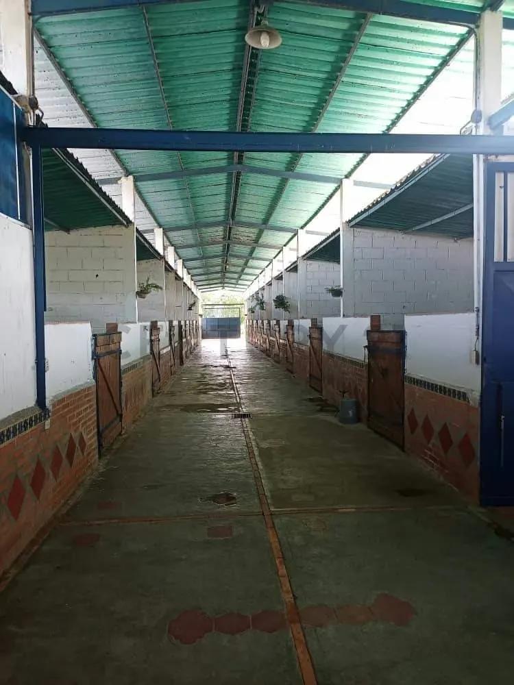 PRODUCTIVA FINCA AGRO TURISTICA DE ALTO POTENCIAL. en Carabobo. - 15