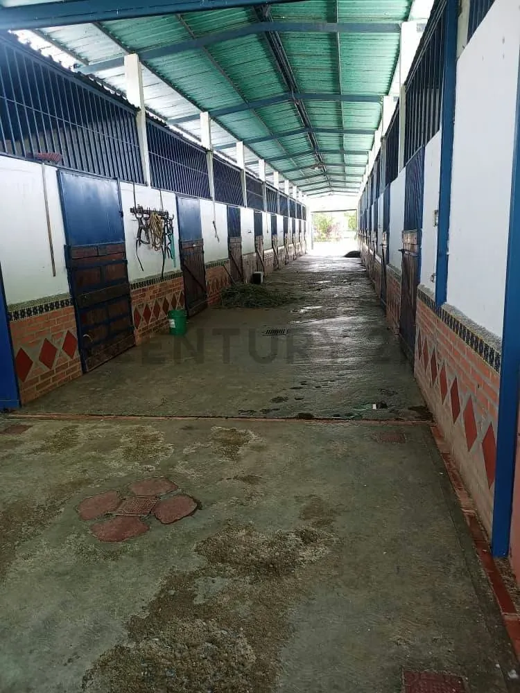 PRODUCTIVA FINCA AGRO TURISTICA DE ALTO POTENCIAL. en Carabobo. - 16