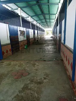 Vista 16
