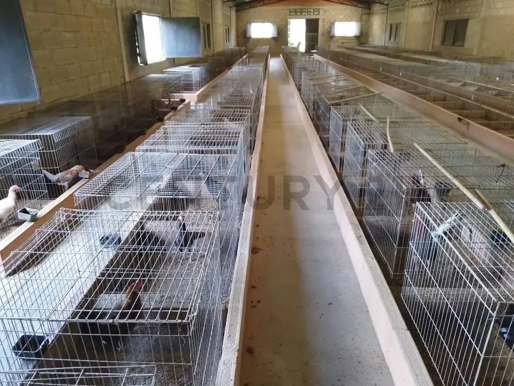 PRODUCTIVA FINCA AGRO TURISTICA DE ALTO POTENCIAL. en Carabobo. - 18