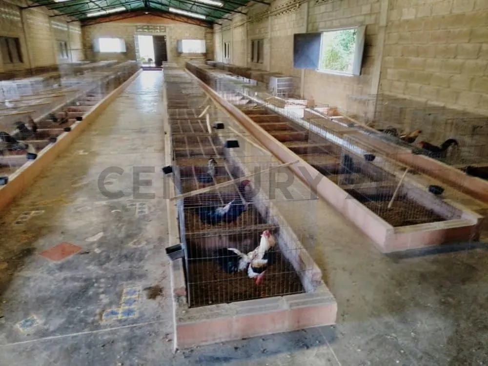 PRODUCTIVA FINCA AGRO TURISTICA DE ALTO POTENCIAL. en Carabobo. - 19