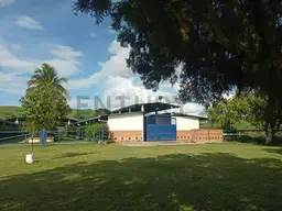 Vista 4