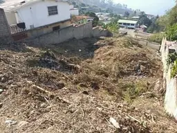 Vista 4