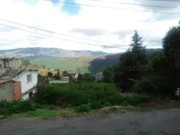 Vista 5