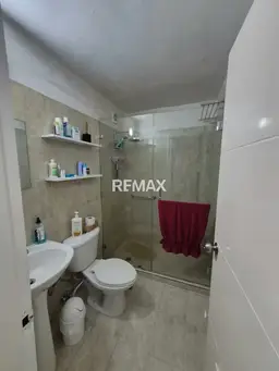 Vista 19