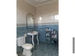 Vista 36
