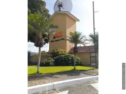 Vista 46