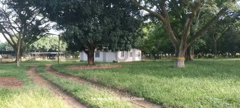 Venta de Finca Porcina