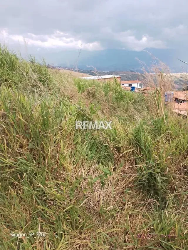 VENTA DE TERRENO EN VELANDRIA CAPACHO - 2