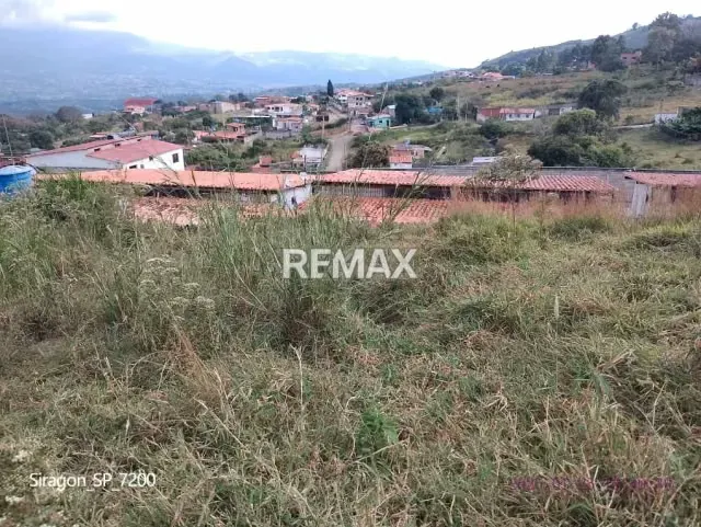 VENTA DE TERRENO EN VELANDRIA CAPACHO - 3